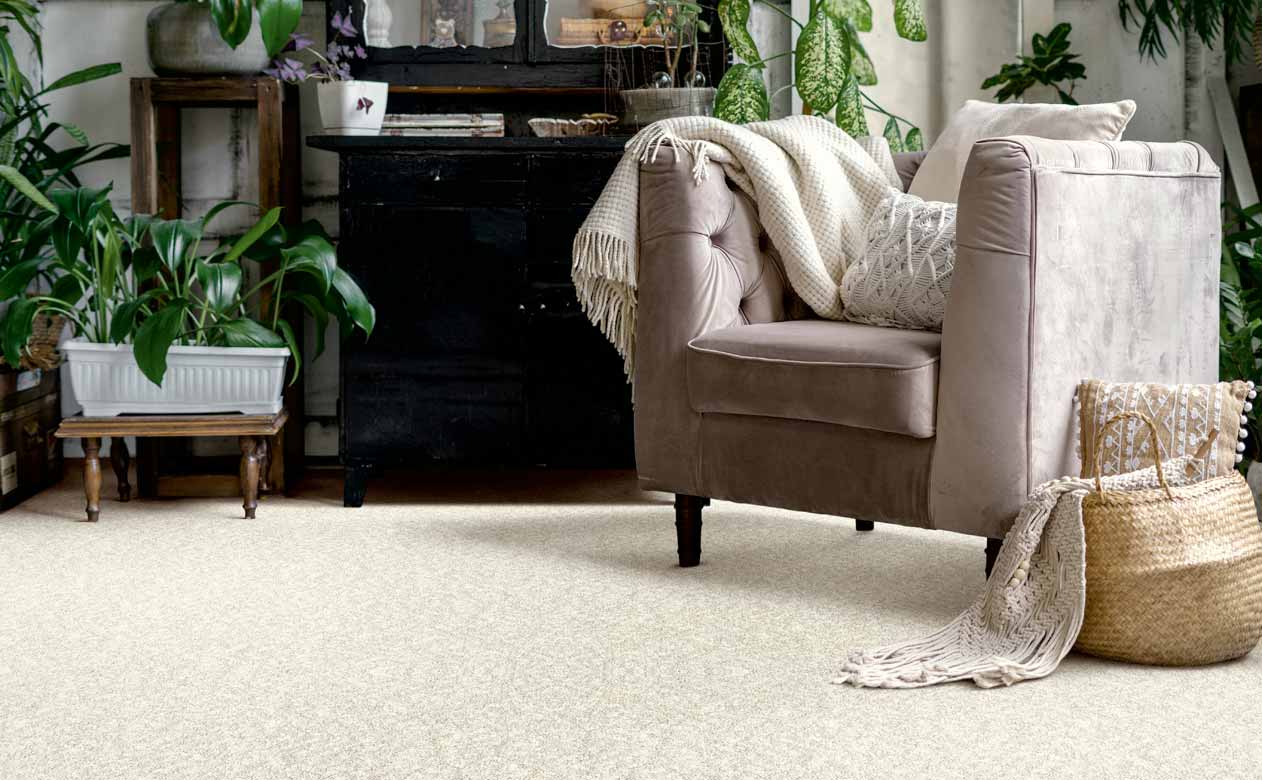 Living room with velvet chair, and beige carpet